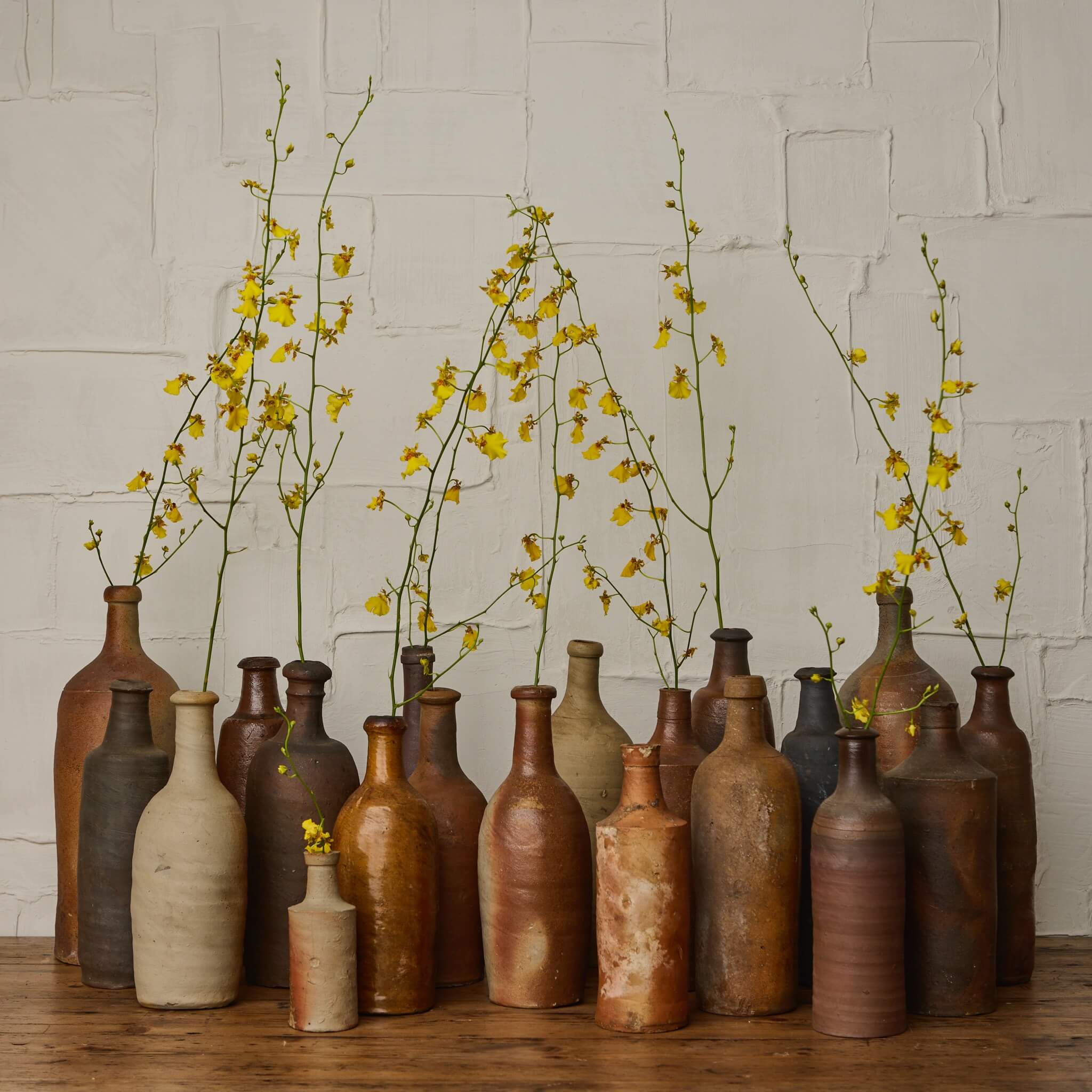 Collection of rustic bottles holding yellow flowers against a light brick wall.