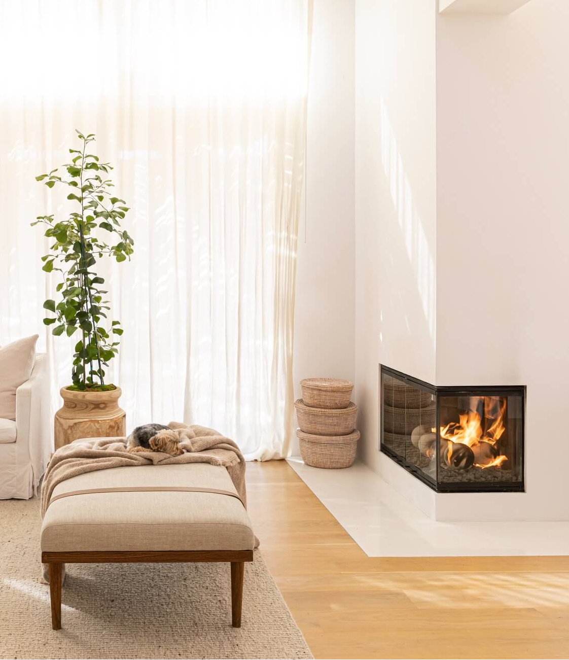 Modern living room with a fireplace, ottoman, and plant